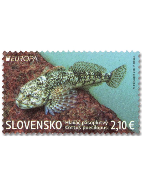 n° 903 - Timbre SLOVAQUIE Poste