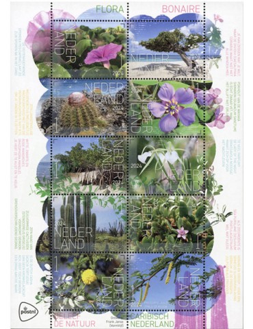 n° 4265/4274 - Timbre PAYS-BAS Poste