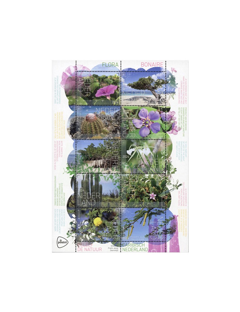 n° 4265/4274 - Timbre PAYS-BAS Poste