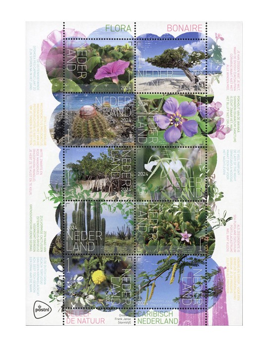 n° 4265/4274 - Timbre PAYS-BAS Poste