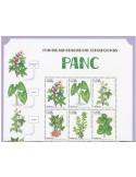 n° 3995/4000 - Timbre BRESIL Poste