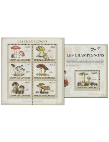 COMORES : Thématique( Champignons)