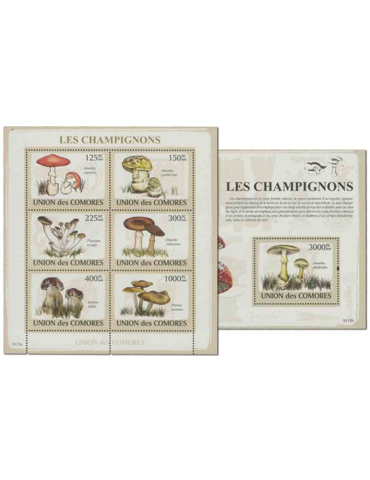 COMORES : Thématique( Champignons)