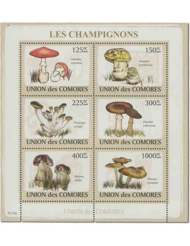 COMORES : Thématique( Champignons) 2