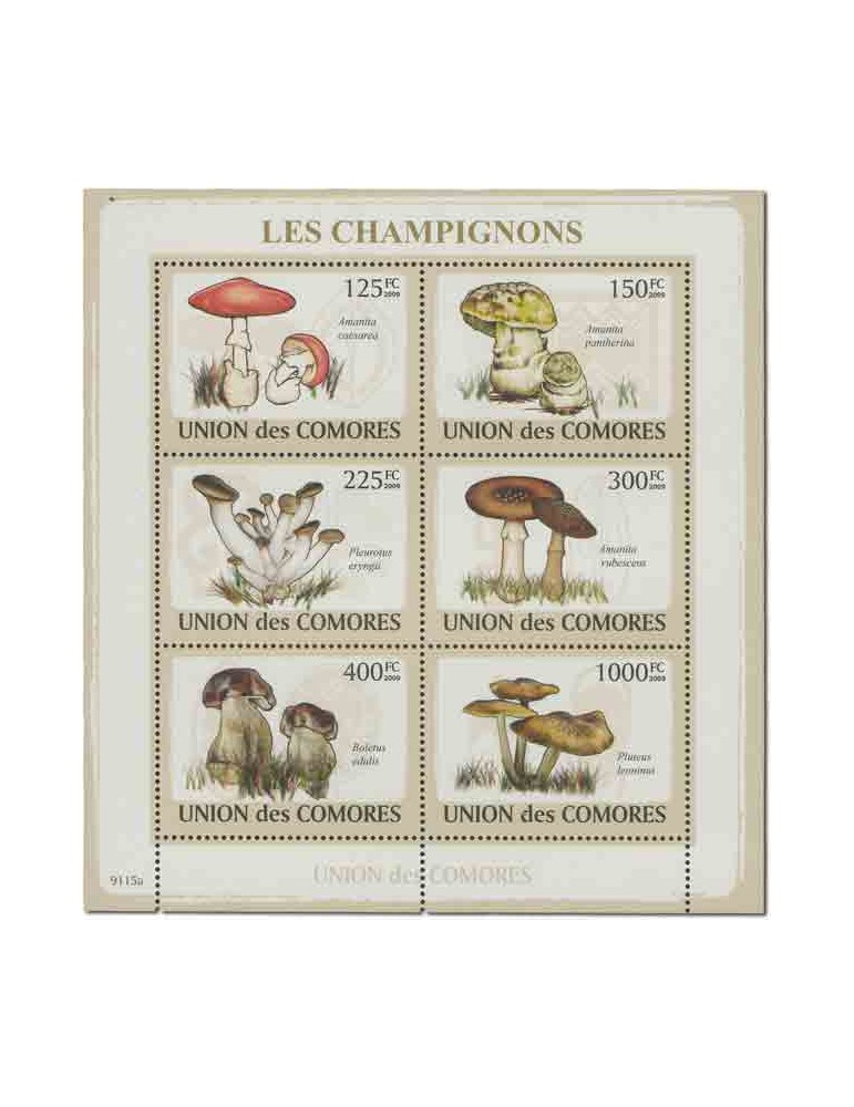 COMORES : Thématique( Champignons)