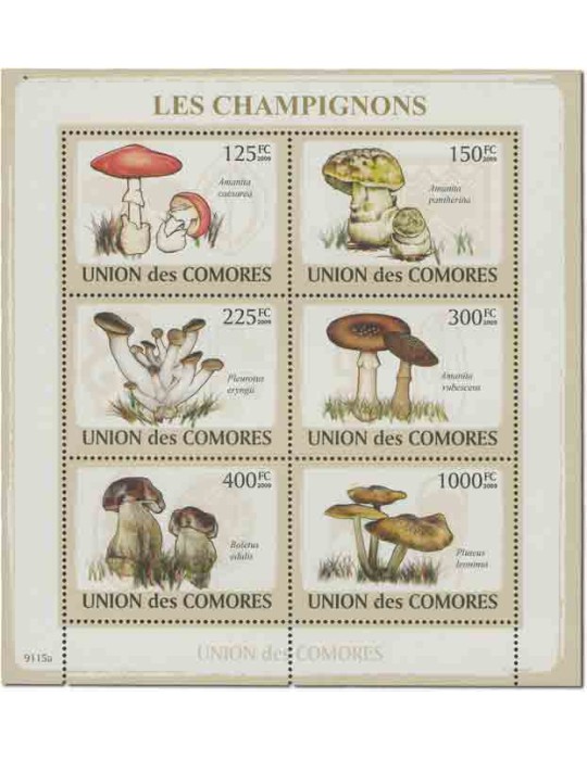 COMORES : Thématique( Champignons)