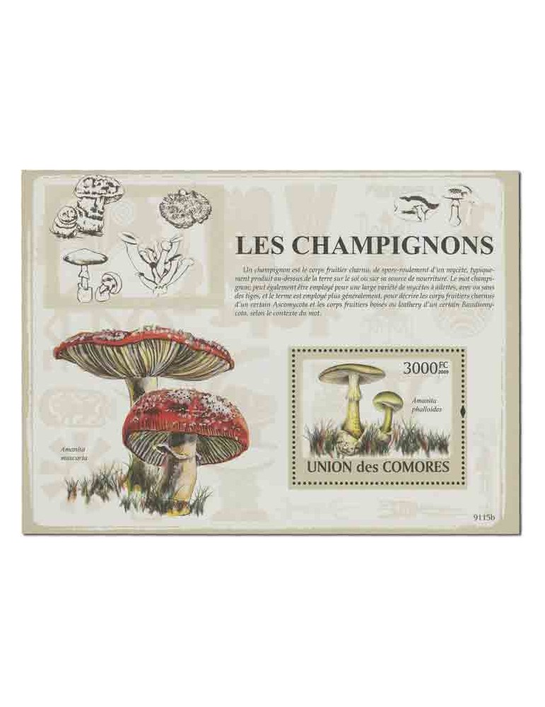 COMORES : Thématique( Champignons)
