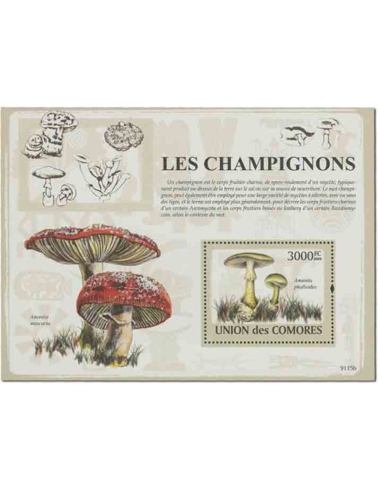 COMORES : Thématique( Champignons)