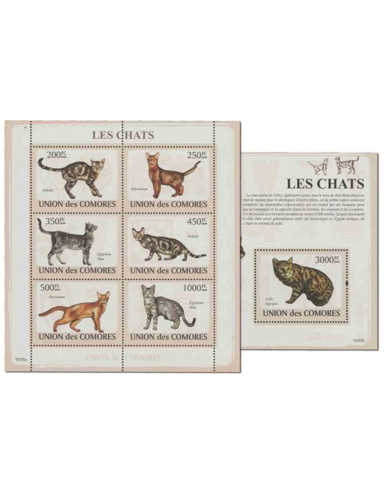 COMORES : Thématique( Chats)