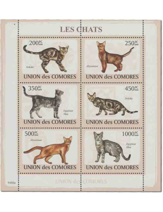 COMORES : Thématique( Chats)