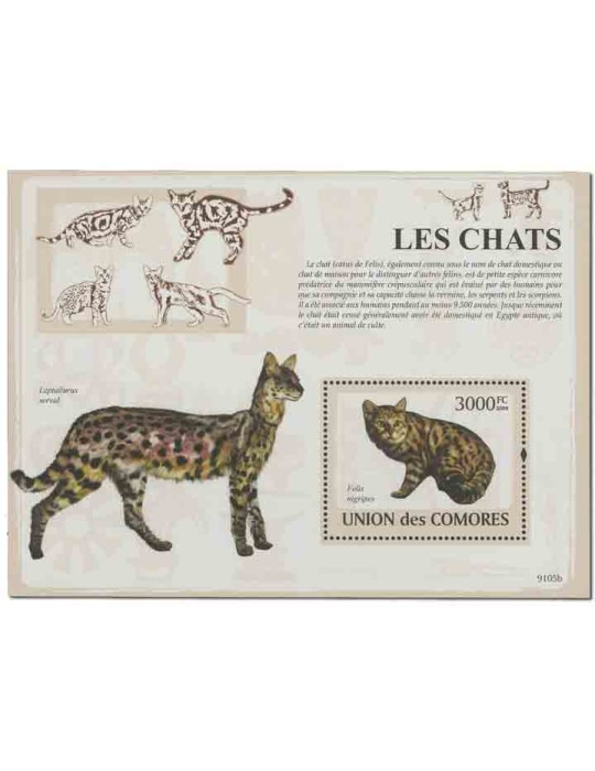 COMORES : Thématique( Chats)