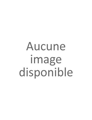 n° C4783 - Timbre Chine Carnets